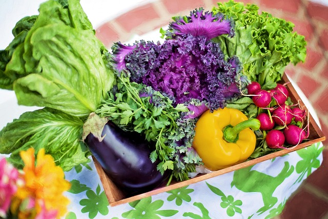 Alimentos orgânicos e veganos