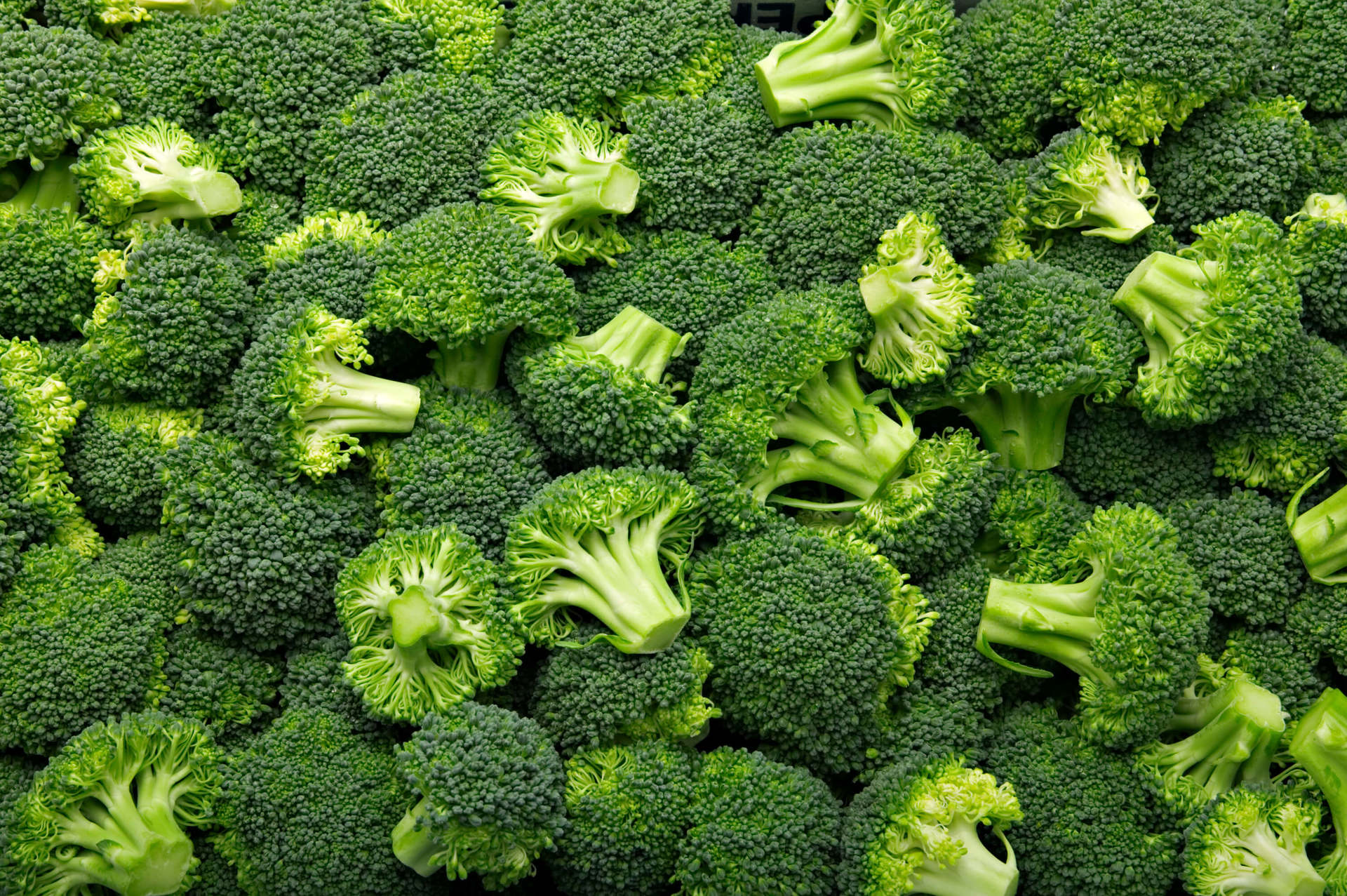 Dicas para comprar alimentos orgânicos e veganos sem gastar uma fortuna