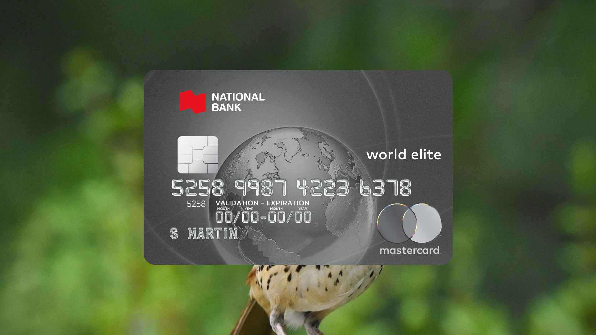 Apply for the National Bank World Elite Mastercard Credit Card Today